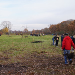 Foto's plantdagen