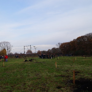 Foto's plantdagen