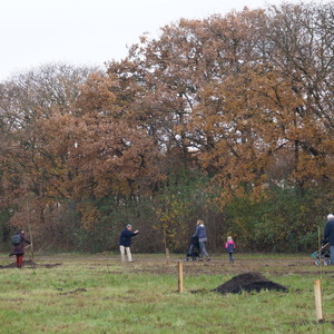 Foto's plantdagen