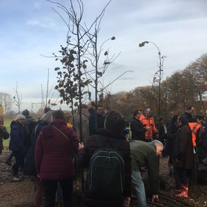 Foto's plantdagen