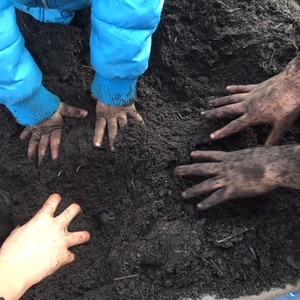 Foto's plantdagen