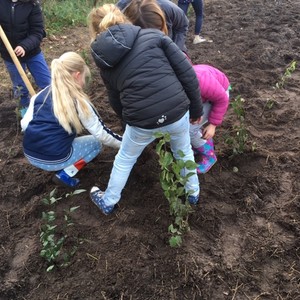 Foto's plantdagen