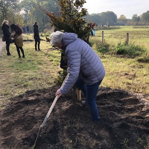 Foto's plantdagen